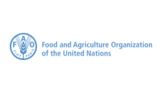 The Food and Agriculture Organization (FAO) 1